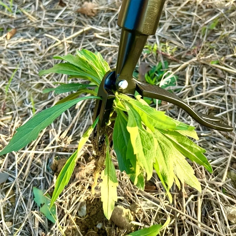 Ogräsplockare i stark metall – Ergonomisk och Enkel Ogräsrensning