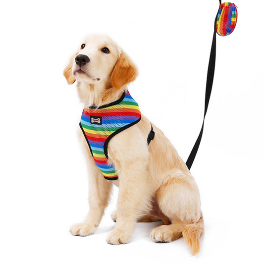 Pettorina per cani con guinzaglio e borsa