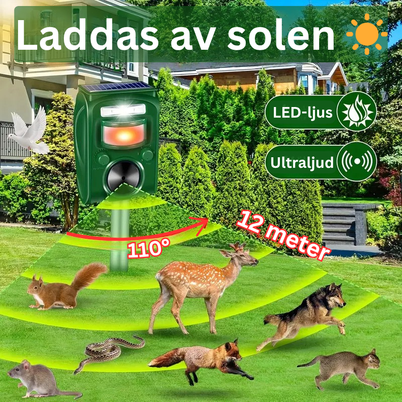 Solceller Ultraljud LED-ljus