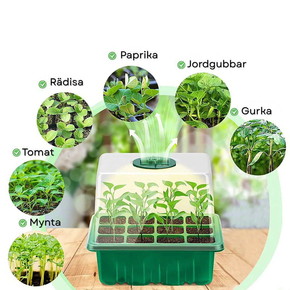 Mini serra con illuminazione a LED e presa d'aria regolabile per semi e piantine