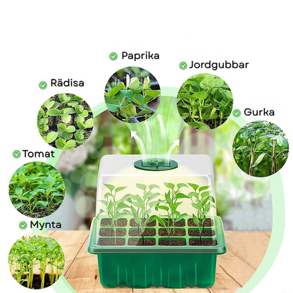 Mini serra con illuminazione a LED e presa d'aria regolabile per semi e piantine