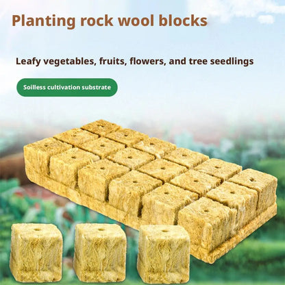 Såkuber i stenull för Snabb Grodd & Stark Rotutveckling 50/100-pack